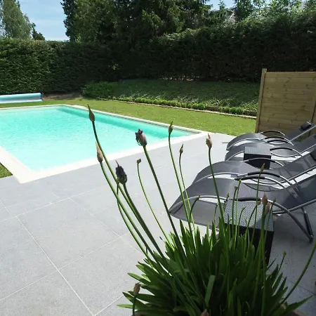 Stylish Mansion In With Swimming Pool