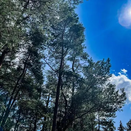 In Ederbergland Near Knebelsrod Dom wakacyjny *