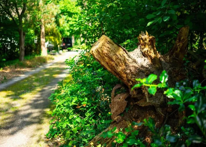 In Ederbergland Near Knebelsrod Nyaraló