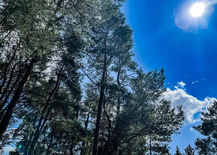 In Ederbergland Near Knebelsrod Nyaraló *