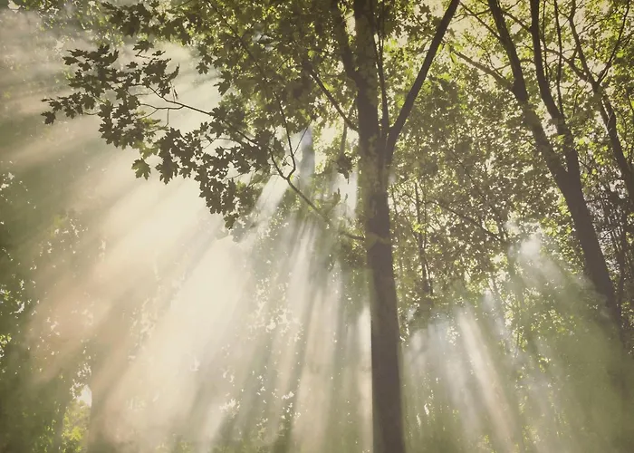 Nyaraló In Ederbergland Near Knebelsrod Hastière-par-delà
